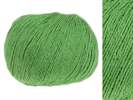 Organic Silk